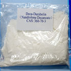 99%の同化ステロイドホルモンの粉のNandroloneのDecanoate Deca Durabolinの未加工粉360-70-3
