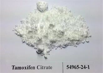 99.5%純度のステロイドはTamoxifenのクエン酸塩/Nolvadexの未加工粉CAS 54965-24-1を粉にします